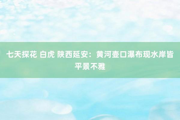 七天探花 白虎 陕西延安:黄河壶口瀑布现水岸皆平景不雅