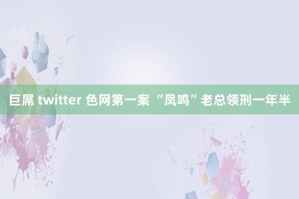 巨屌 twitter 色网第一案 “凤鸣”老总领刑一年半