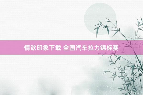 情欲印象下载 全国汽车拉力锦标赛