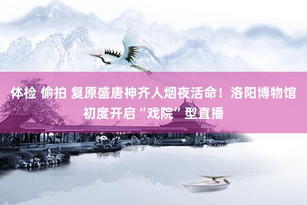 体检 偷拍 复原盛唐神齐人烟夜活命！洛阳博物馆初度开启“戏院”型直播