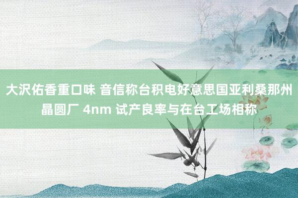 大沢佑香重口味 音信称台积电好意思国亚利桑那州晶圆厂 4nm 试产良率与在台工场相称