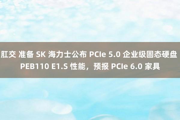 肛交 准备 SK 海力士公布 PCIe 5.0 企业级固态硬盘 PEB110 E1.S 性能，预报 PCIe 6.0 家具