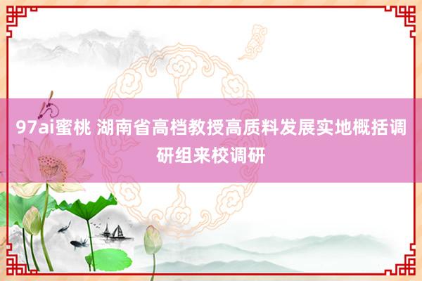 97ai蜜桃 湖南省高档教授高质料发展实地概括调研组来校调研