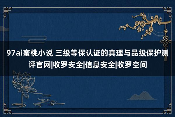 97ai蜜桃小说 三级等保认证的真理与品级保护测评官网|收罗安全|信息安全|收罗空间