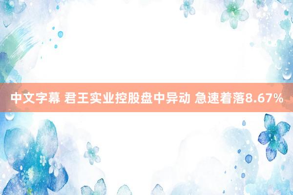 中文字幕 君王实业控股盘中异动 急速着落8.67%