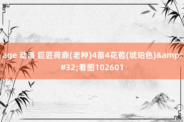 age 动漫 巨匠荷鼎(老种)4苗4花苞(琥珀色)&#32;看图102601