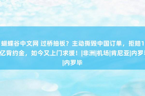 蝴蝶谷中文网 过桥抽板？主动撕毁中国订单，拒赔10亿背约金，如今又上门求援！|非洲|机场|肯尼亚|内罗毕