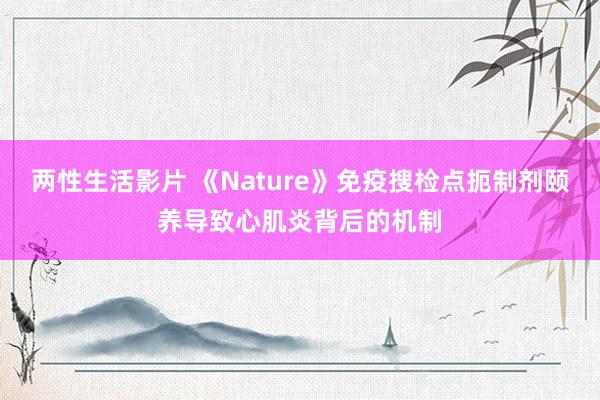 两性生活影片 《Nature》免疫搜检点扼制剂颐养导致心肌炎背后的机制
