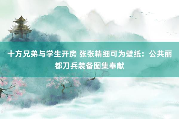 十方兄弟与学生开房 张张精细可为壁纸：公共丽都刀兵装备图集奉献