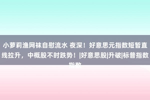小萝莉渔网袜自慰流水 夜深！好意思元指数短暂直线拉升，中概股不时跌势！|好意思股|升破|标普指数