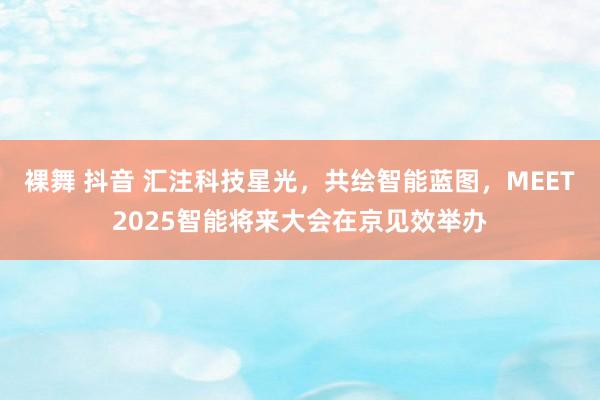裸舞 抖音 汇注科技星光，共绘智能蓝图，MEET2025智能将来大会在京见效举办