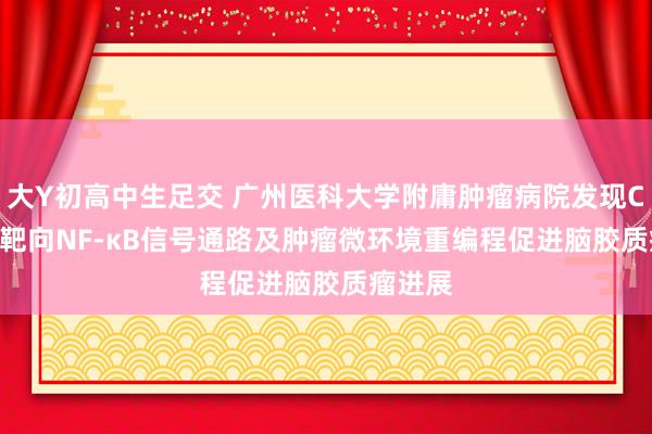 大Y初高中生足交 广州医科大学附庸肿瘤病院发现CHI3L1靶向NF-κB信号通路及肿瘤微环境重编程促进脑胶质瘤进展