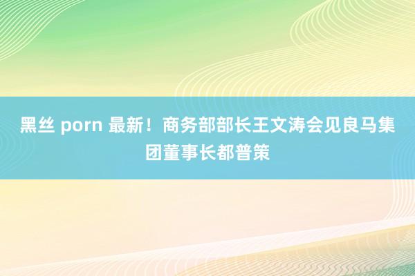 黑丝 porn 最新！商务部部长王文涛会见良马集团董事长都普策