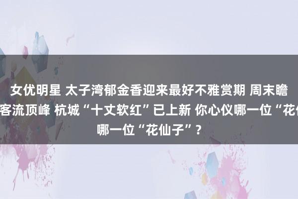 女优明星 太子湾郁金香迎来最好不雅赏期 周末瞻望迎来客流顶峰 杭城“十丈软红”已上新 你心仪哪一位“花仙子”？