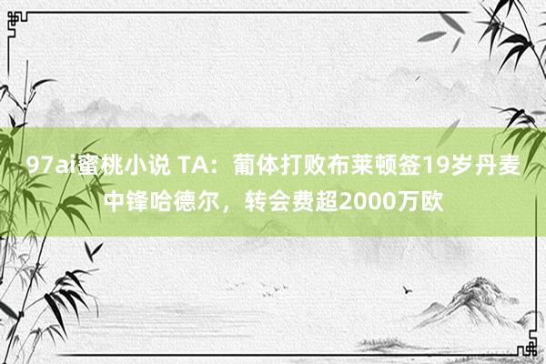 97ai蜜桃小说 TA：葡体打败布莱顿签19岁丹麦中锋哈德尔，转会费超2000万欧