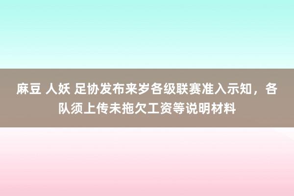 麻豆 人妖 足协发布来岁各级联赛准入示知，各队须上传未拖欠工资等说明材料