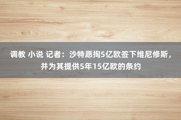 调教 小说 记者：沙特愿掏5亿欧签下维尼修斯，并为其提供5年15亿欧的条约