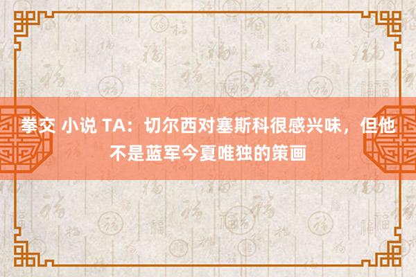 拳交 小说 TA：切尔西对塞斯科很感兴味，但他不是蓝军今夏唯独的策画